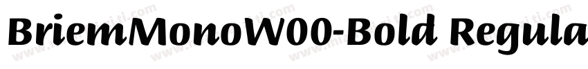 BriemMonoW00-Bold Regular Chisel No字体转换